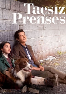 Принцесса без короны, Сезон 1